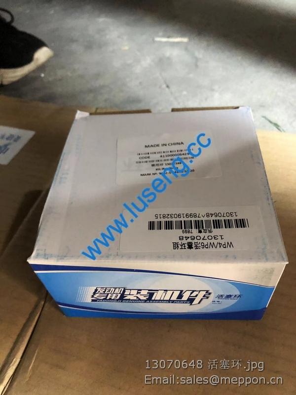 13070648 PISTON RING 4110000587018 – Luseng Co., Ltd